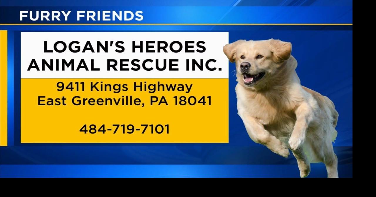 Furry Friends: Buttercup and Bunny | Video | wfmz.com