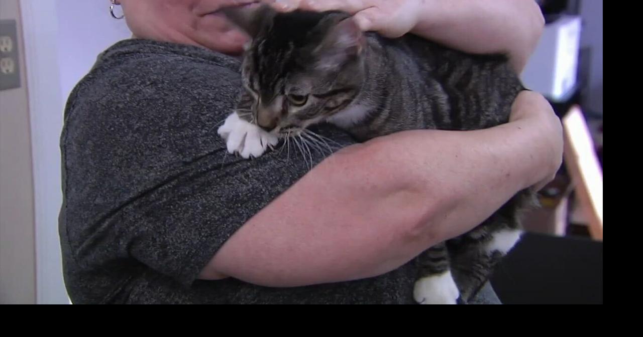 Furry Friends: Bruno & Serena | Allentown Area | wfmz.com