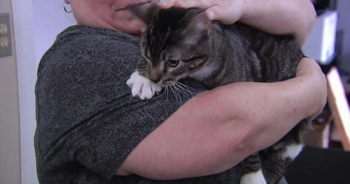 Ben Rennell Furry Friends: Bruno & Serena | Allentown Area | wfmz.com