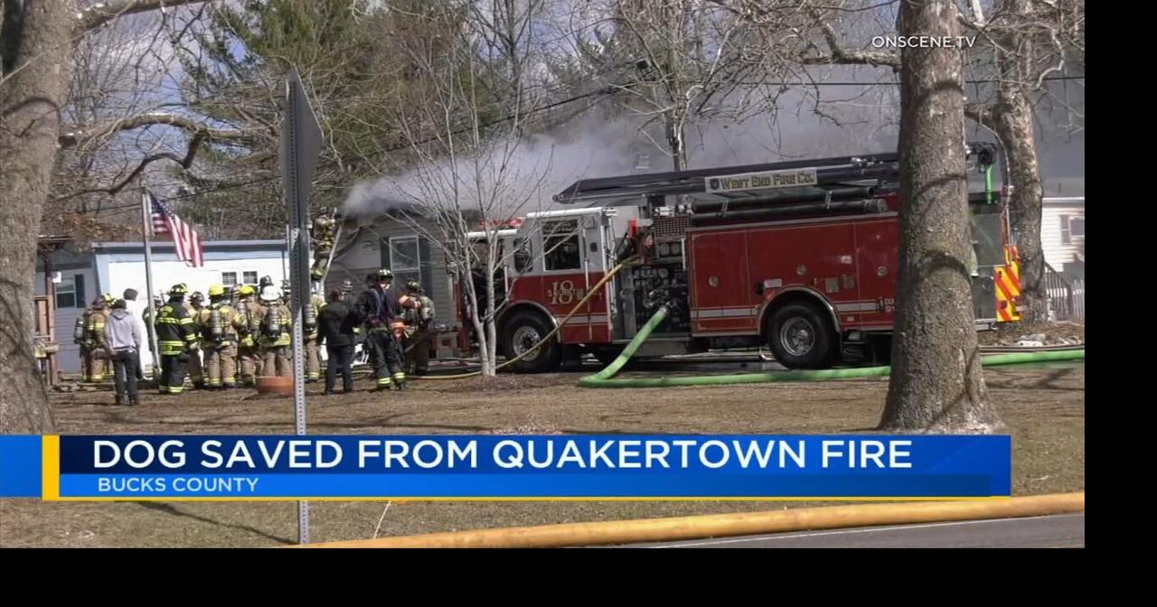Officials say dog rescued from fire in Bucks County home | Upper Bucks ...