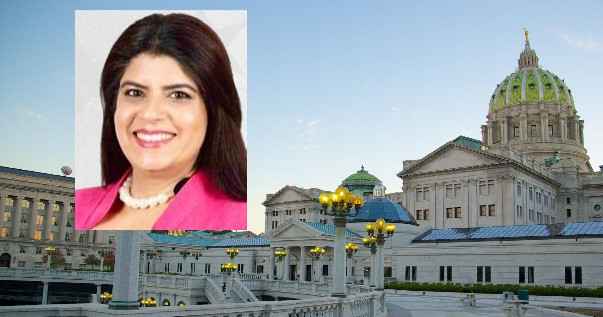 Taiba Sultana: Candidate for 136th State House touts progressive agenda - Vimarsana News
