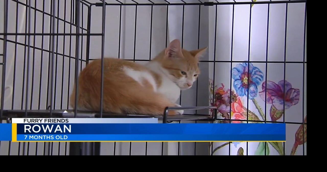 Furry Friends: Ralphie and Rowan | Video | wfmz.com