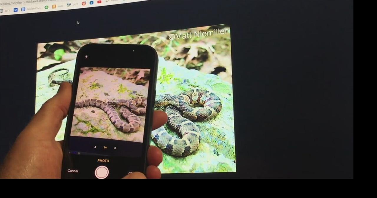 What the Tech? App of the Day: SnakeSnap | What The Tech? | wfmz.com