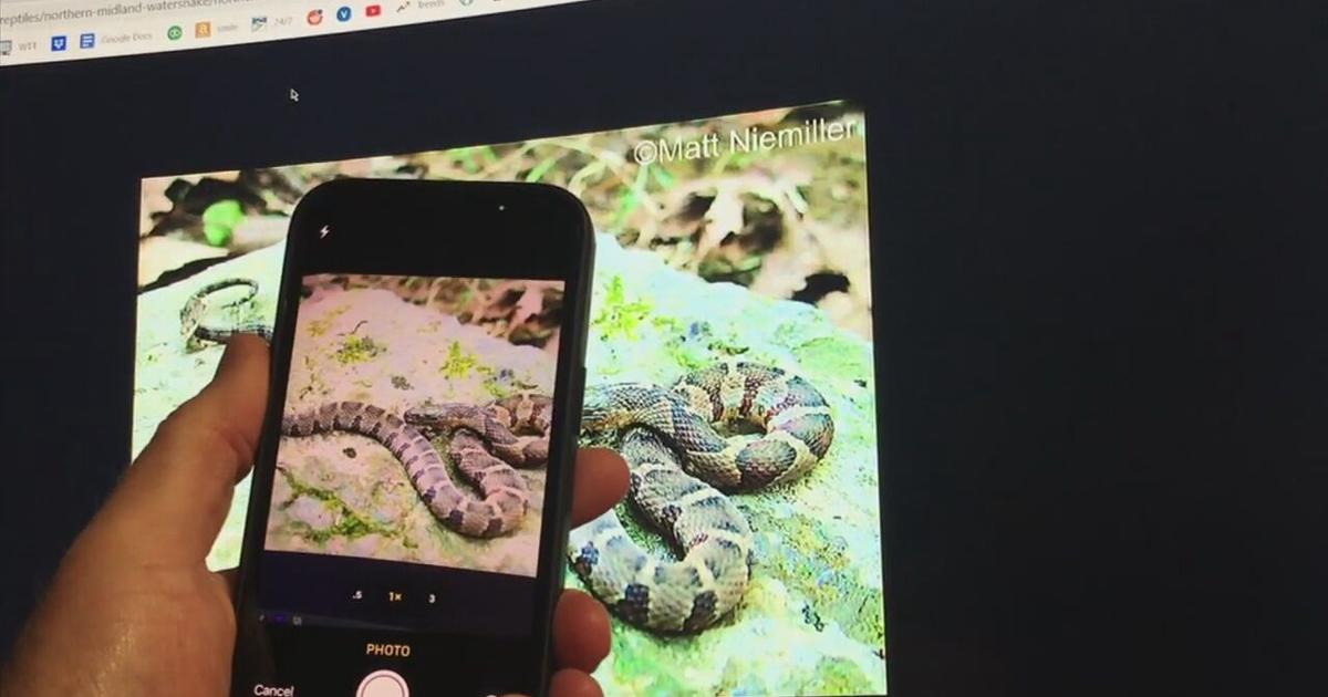 What the Tech? App of the Day: SnakeSnap | What The Tech? | wfmz.com