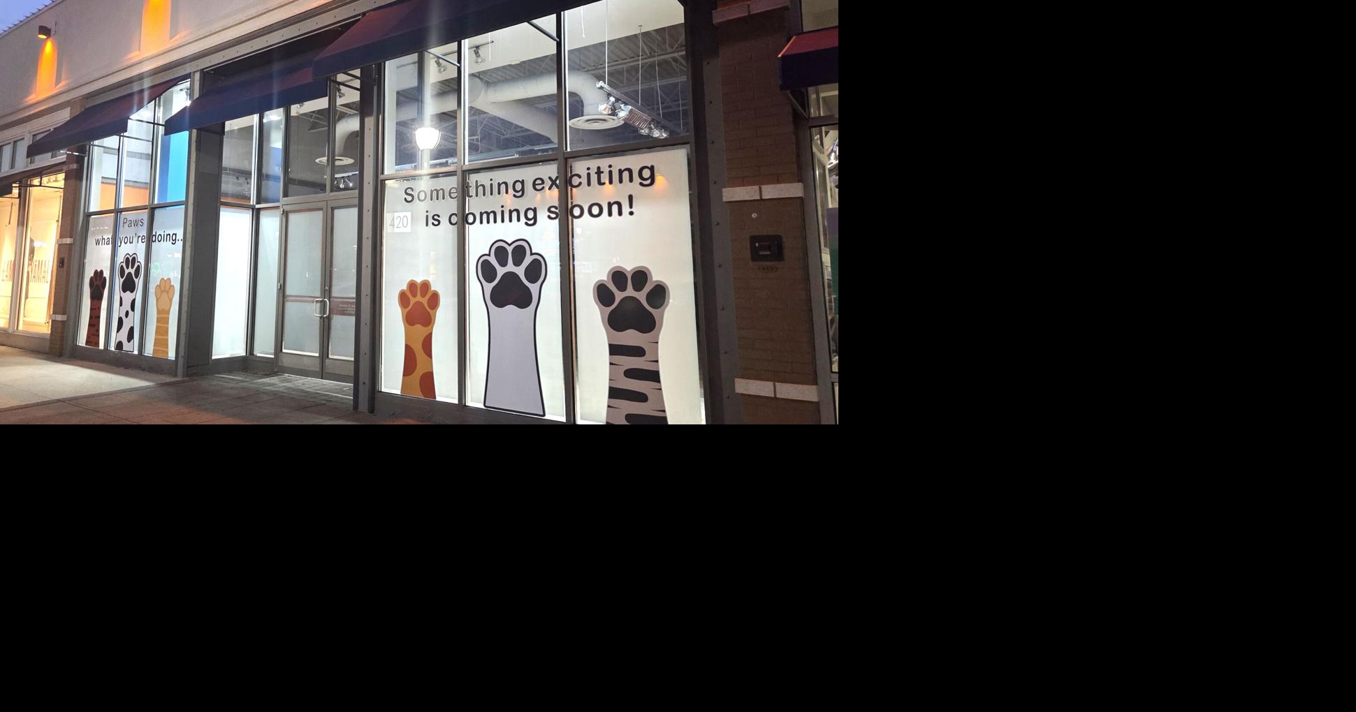 New restaurant coming to former Bar Louie spot, pet supply store also in the works at Promenade