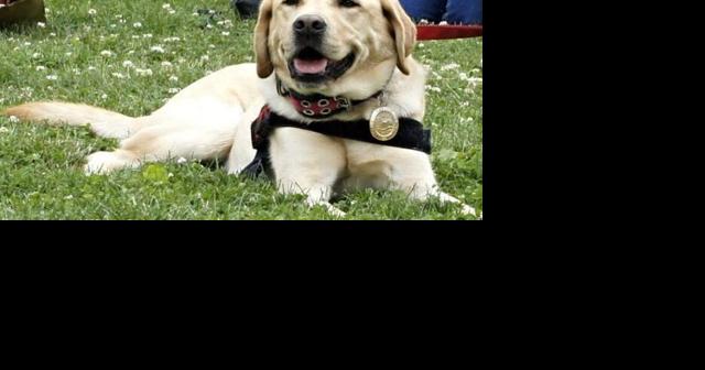 Allentown moves to rename Dixon Street Dog Park after beloved K-9 - Vimarsana News
