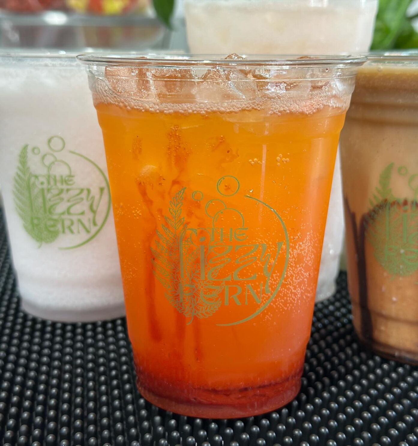 Plant shop blooming with new 'gourmet soda & beverage bar' in Upper ...
