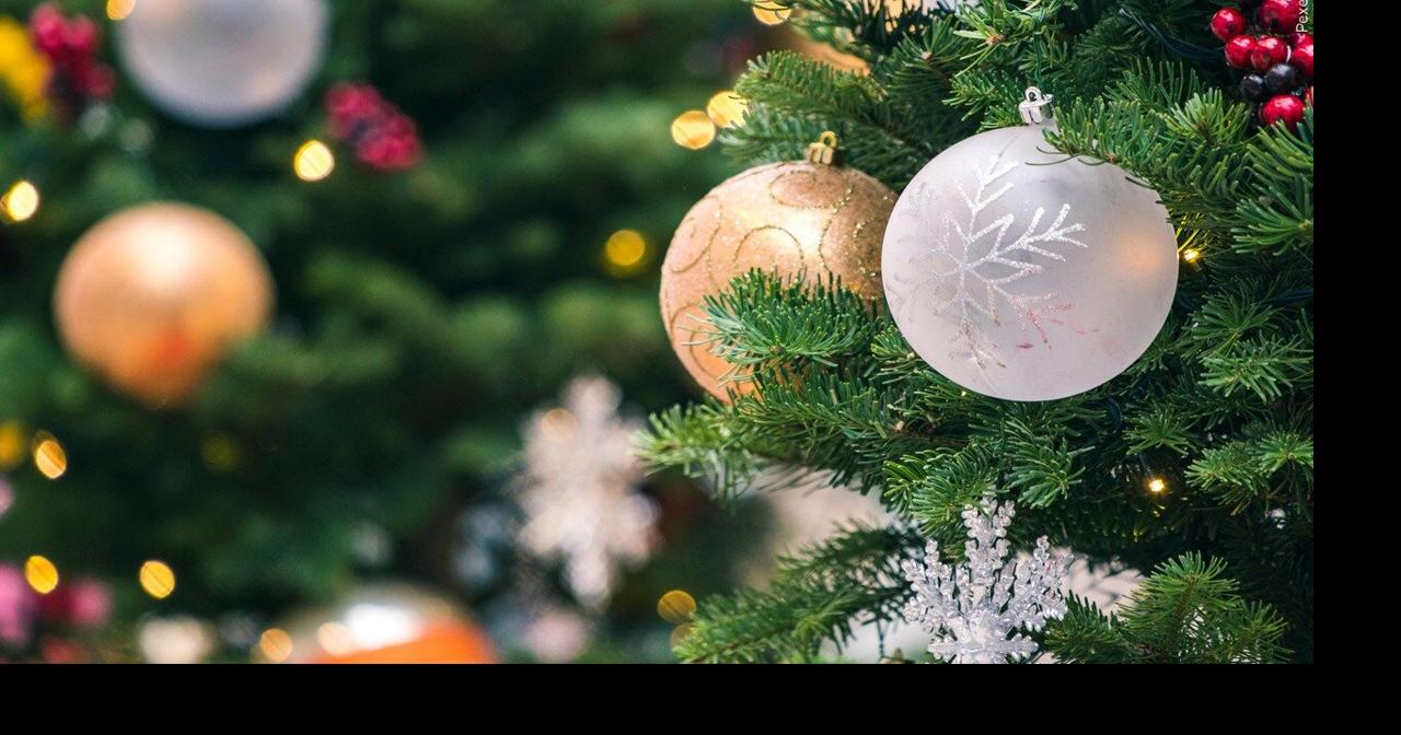 Az egyetlen karácsonyfabolt a Lehigh-völgyben, amely üzleten kívüli értékesítést folytat |  Lehigh Valley regionális hírek