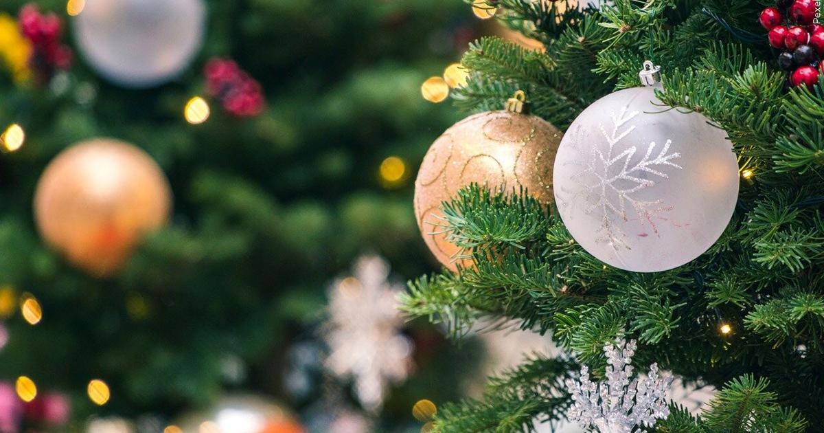 Lehigh Valley’de iş dışı satış yapan tek Noel Ağacı Mağazaları |  Lehigh Valley Bölgesel Haberleri