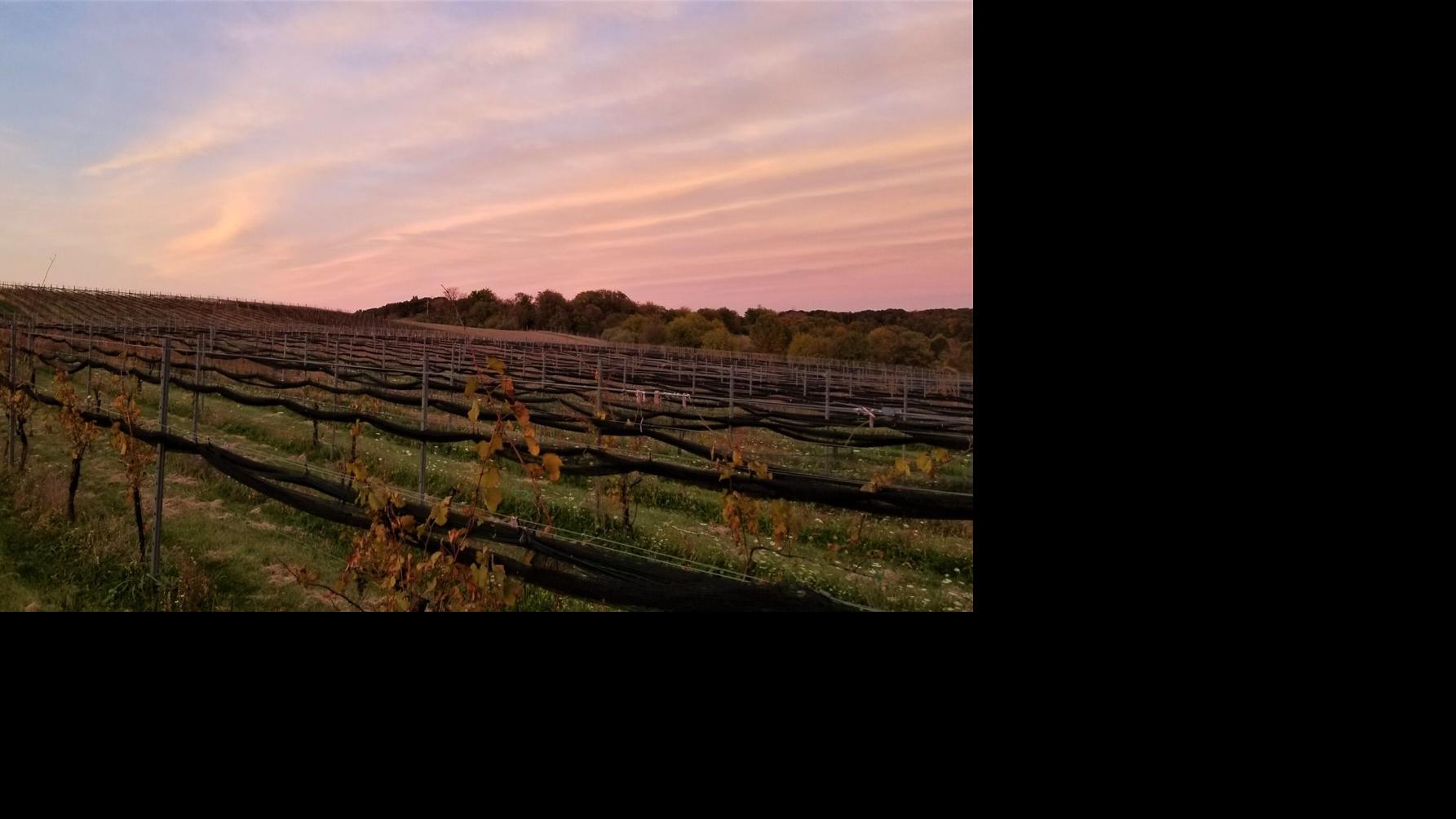Lehigh County's newest brewery, winery serving up stunning fall views