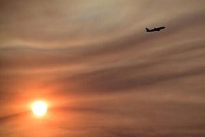 Ticket price hikes not affecting summer air travel demand: IATA