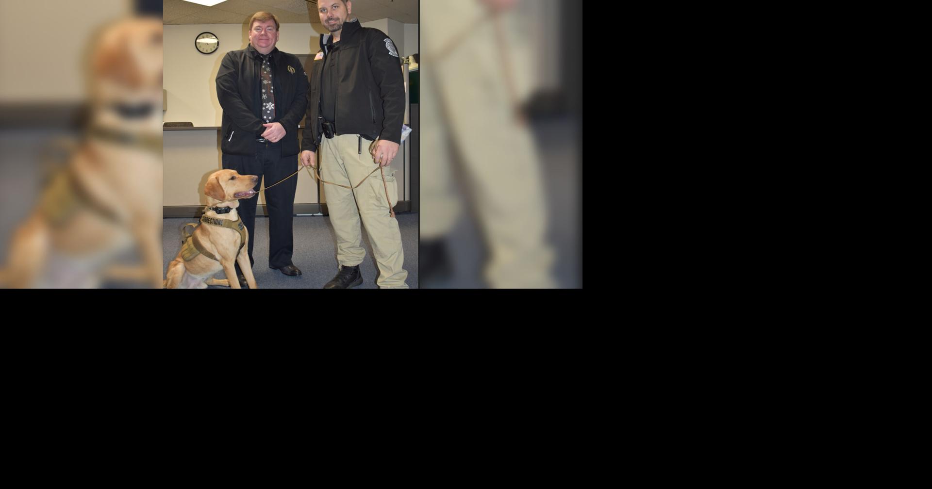 New K9 officer begins working at Northampton County Prison Lehigh