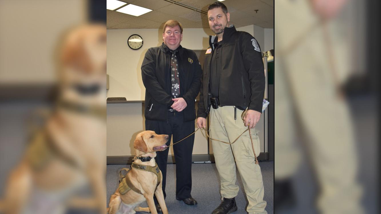 New K9 officer begins working at Northampton County Prison Lehigh