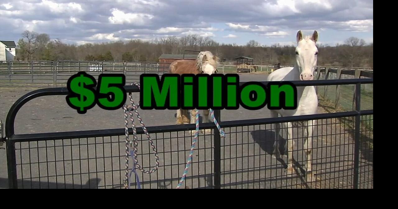 'We're ready to go': Last Chance Ranch embarks on $5 million move to a ...