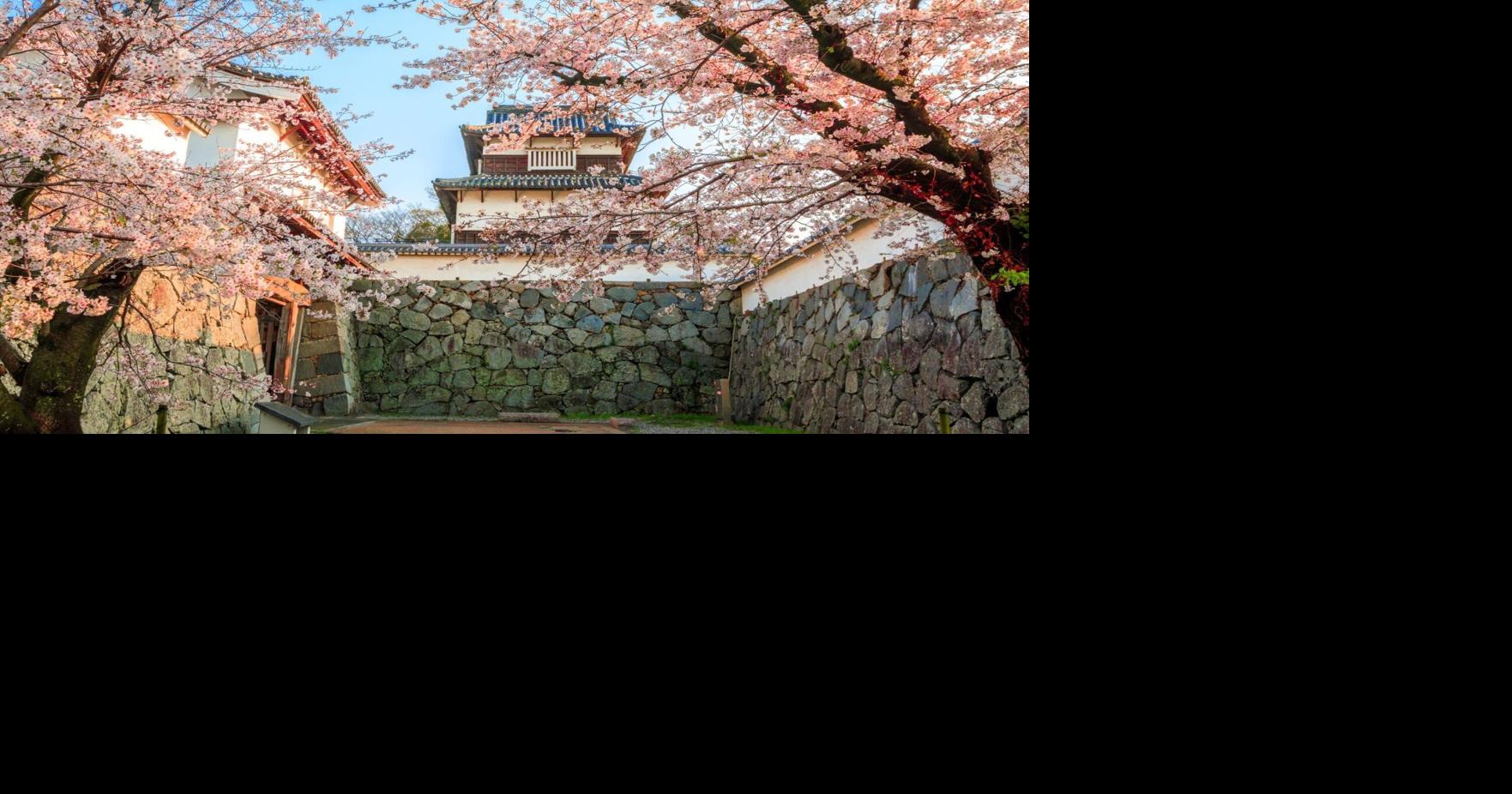 Golden Route to WEST JAPAN Partners with Airalo to Launch Exclusive Travel Connectivity Campaign