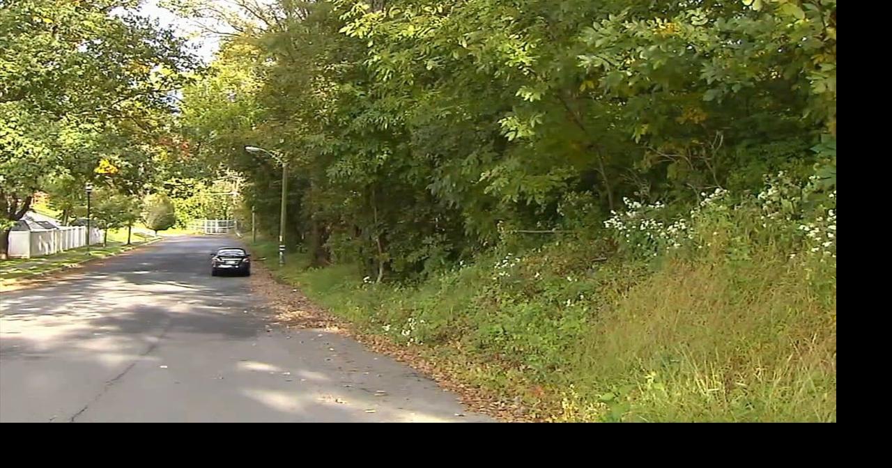 Plan for Easton housing development advances after zoning hearing board