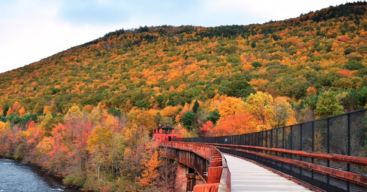Track when, where peak fall foliage is arriving in the Poconos with new ...