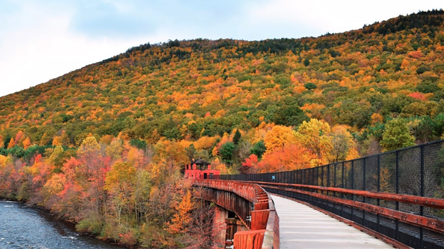 Track when, where peak fall foliage is arriving in the Poconos with new map Poconos and Coal