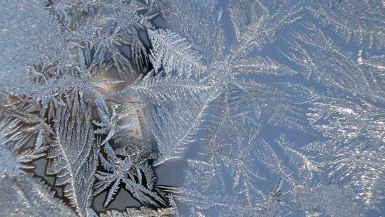 Code Blue declared for Montgomery County | Southeastern Pennsylvania ...