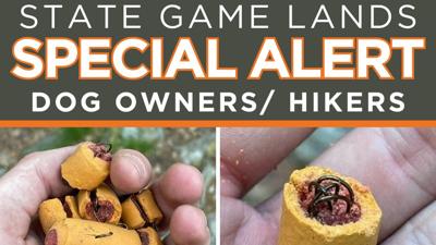 appalachian trail dog treats fish hooks Dog treats stuffed with fishhooks found along section of Appalachian Trail  | Lehigh Valley Regional News