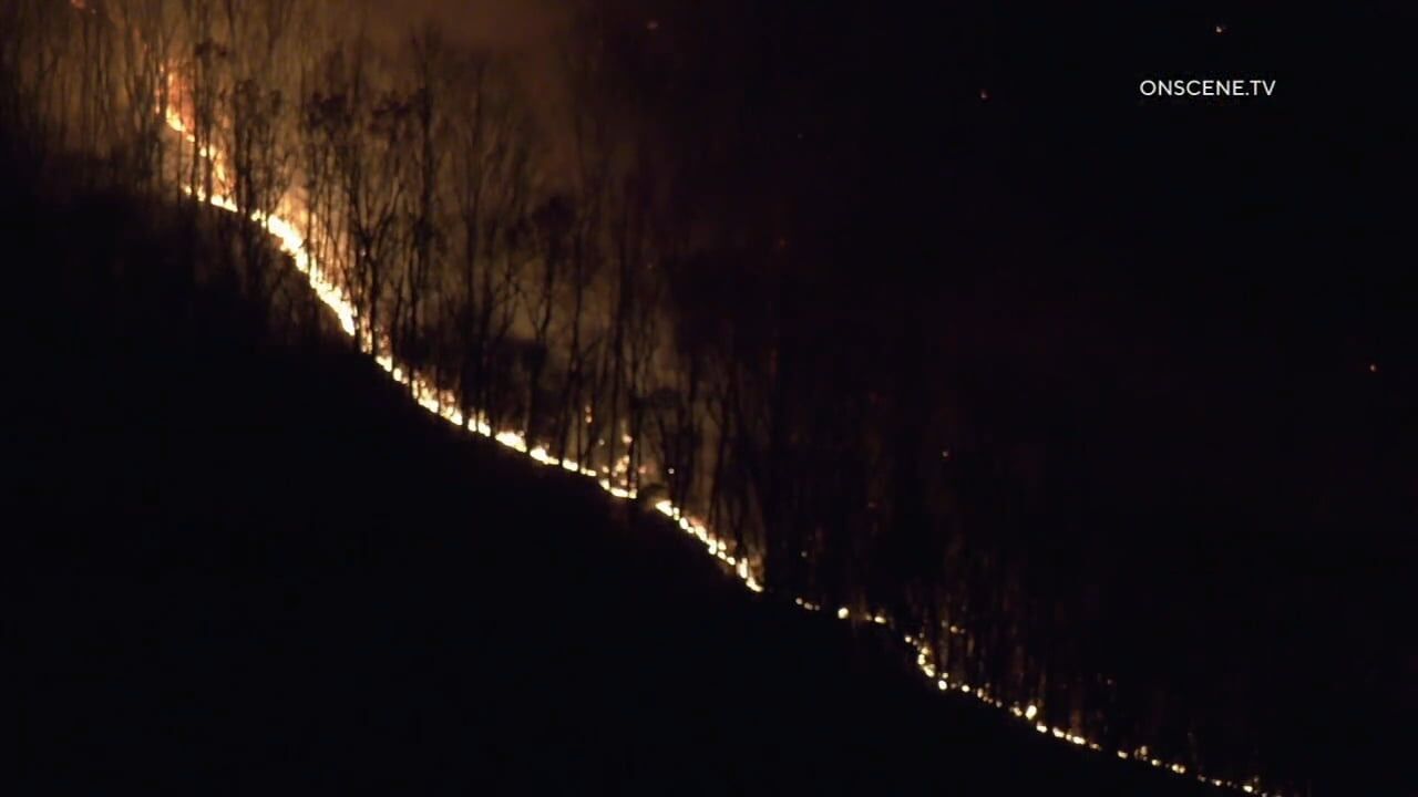 Crews Battle Brush Fire On Neversink Mountain In Reading Overnight And ...