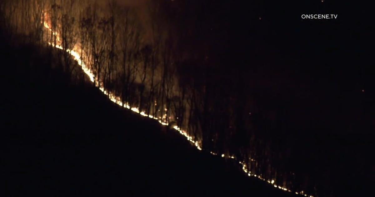 Reading Wildfire Crews battle brush fire on Neversink Mountain in Reading overnight and ...