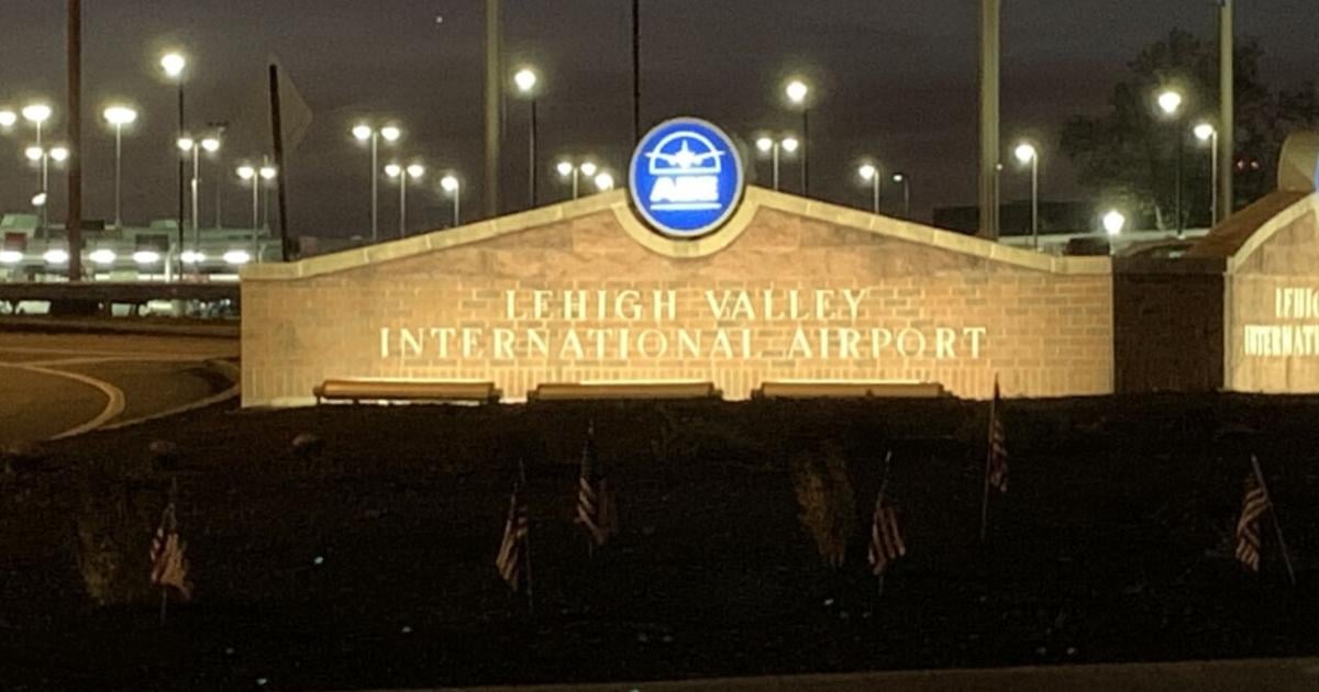 Airplane carrying 'Party Animals' players struck by lightning on way to Lehigh Valley airport, lands safely - WFMZ.com
