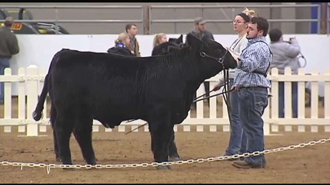 Pa. Farm Show announces 2021 competitions | Pennsylvania ...