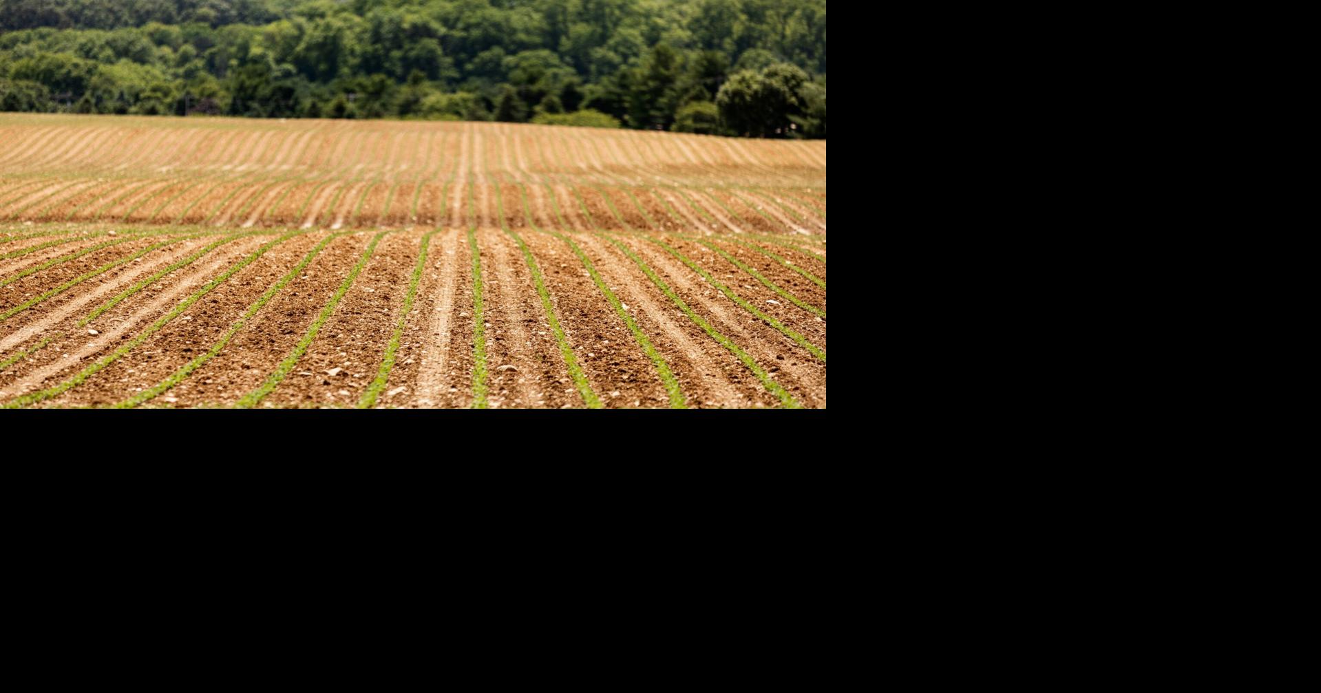 Lehigh County describes ways to buy local farmland for preservation ...