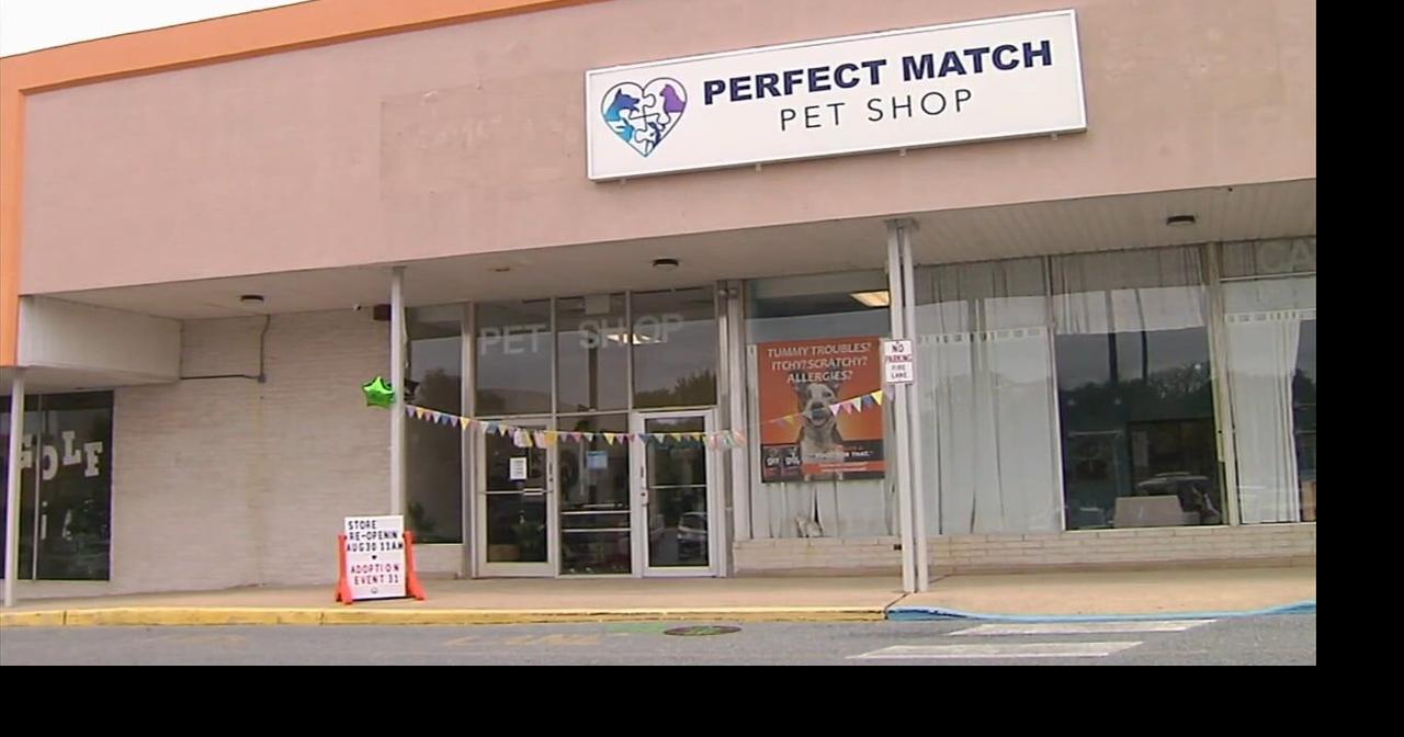 Berks pet shop welcomes customers back months after fire, will hold cat adoption | Berks Regional News