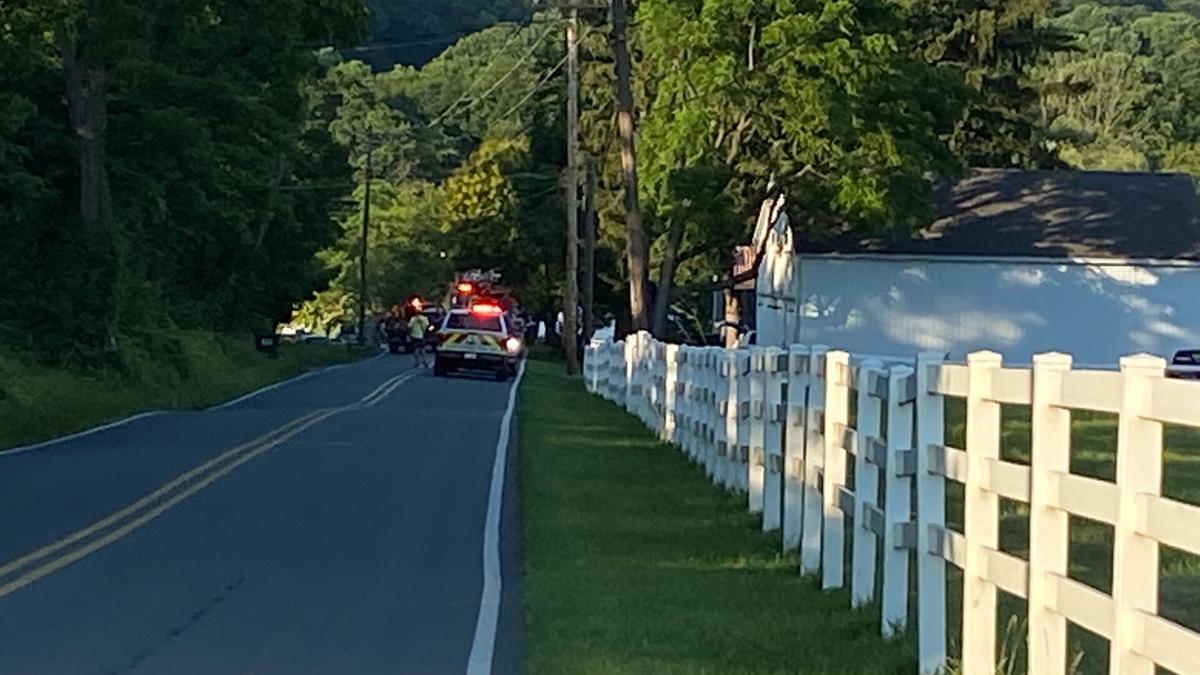 Man dies after tree falls on top of him in Twp. Berks