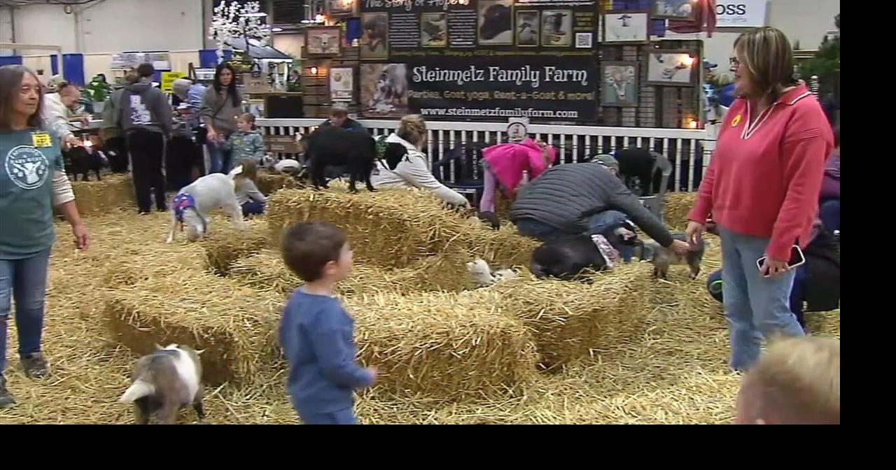 Spring fever: Show brings colorful flowers, garden inspiration to ...