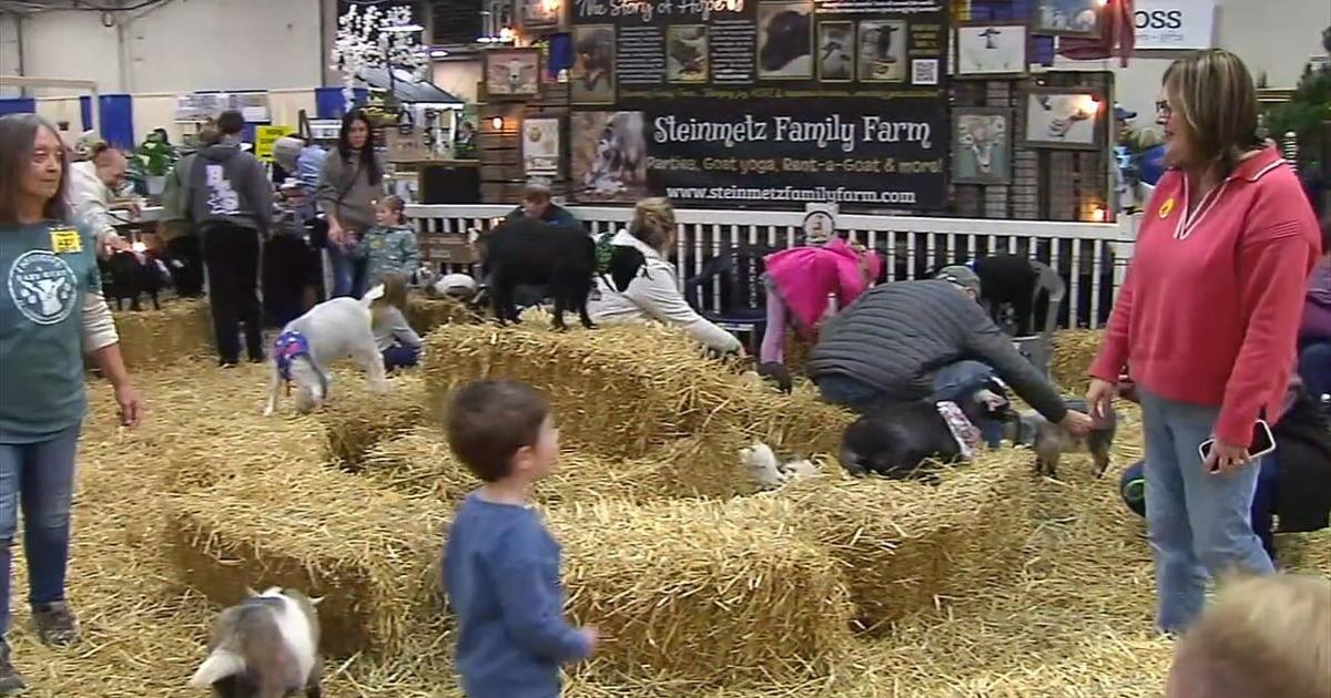 Spring Feaster Show Spring fever: Show brings colorful flowers, garden inspiration to ...