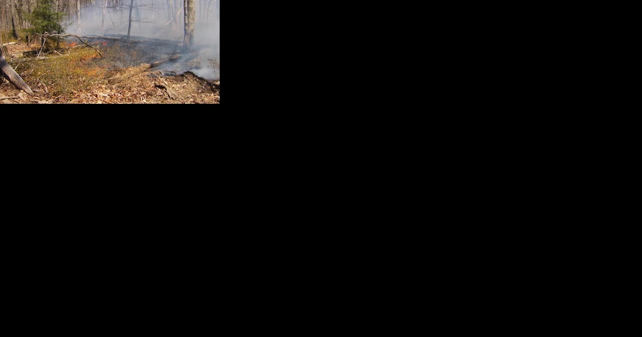 Pa Game Commission holds controlled burn on state lands - Vimarsana News