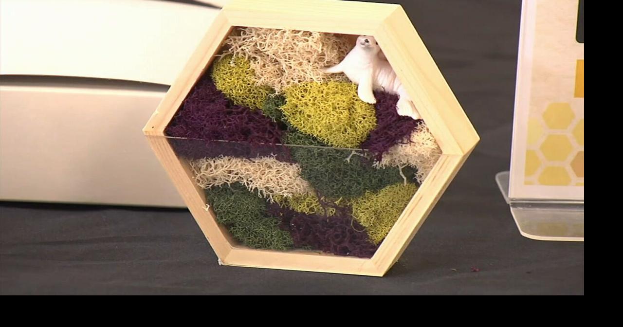 Berks County colleges encourage students to get hands-on for Earth Day