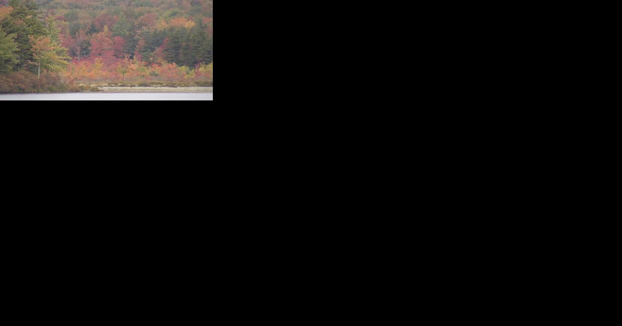What we can expect for this year's fall foliage season in Pa. - Vimarsana News