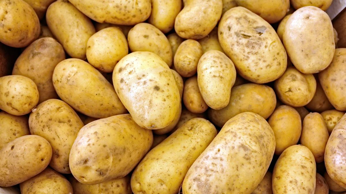 Berks Chip Maker To Give Away 40k Pounds Of Potatoes Coronavirus