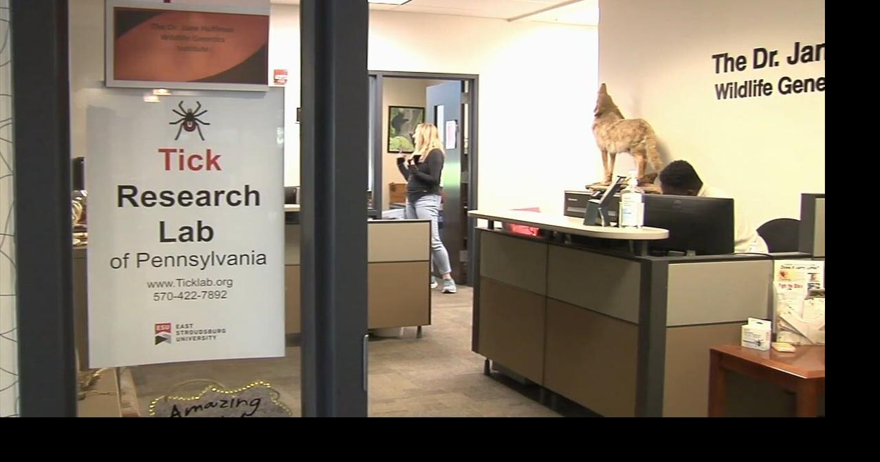 Researchers warn mild winter, more rainfall expected to increase tick