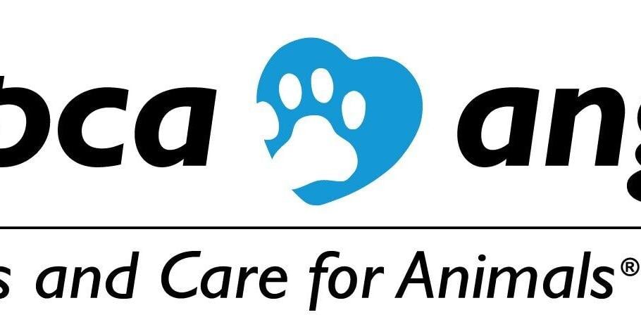 "All Access with Andy Garcia" Highlights MSPCA-Angell's Advancements in Animal Health and Healing