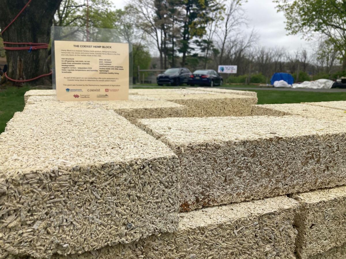 Hemp structure revealed at Alvernia University's EcoHouse | Berks Regional  News | wfmz.com