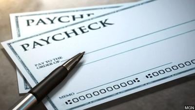 Paycheck generic pay check