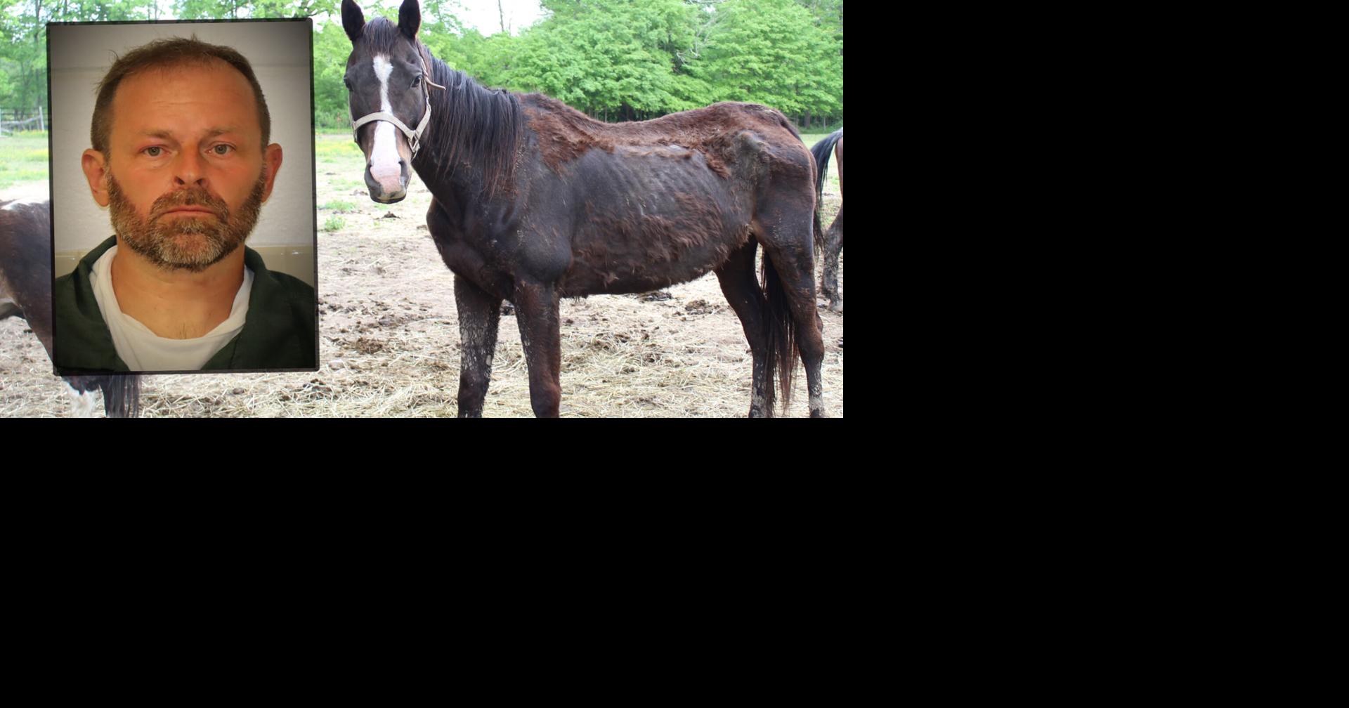 Flemington man charged with animal cruelty after dozens of animals ...