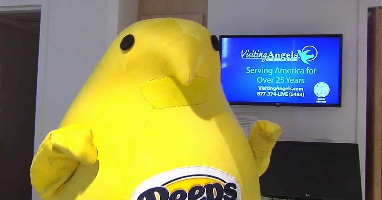 'Did a few dance moves': Peeps mascot surprises patients at Lehigh Valley Reilly Children's Hospital - Vimarsana News