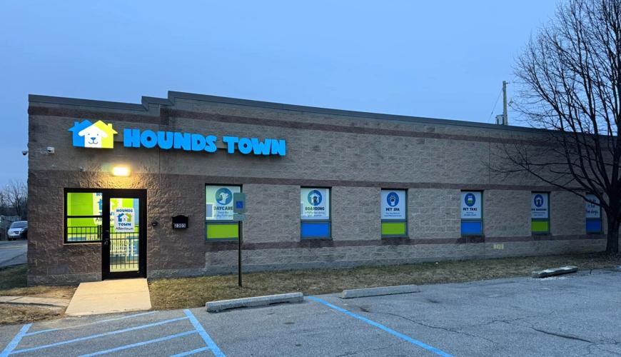 Dog Boarding Allentown Pa