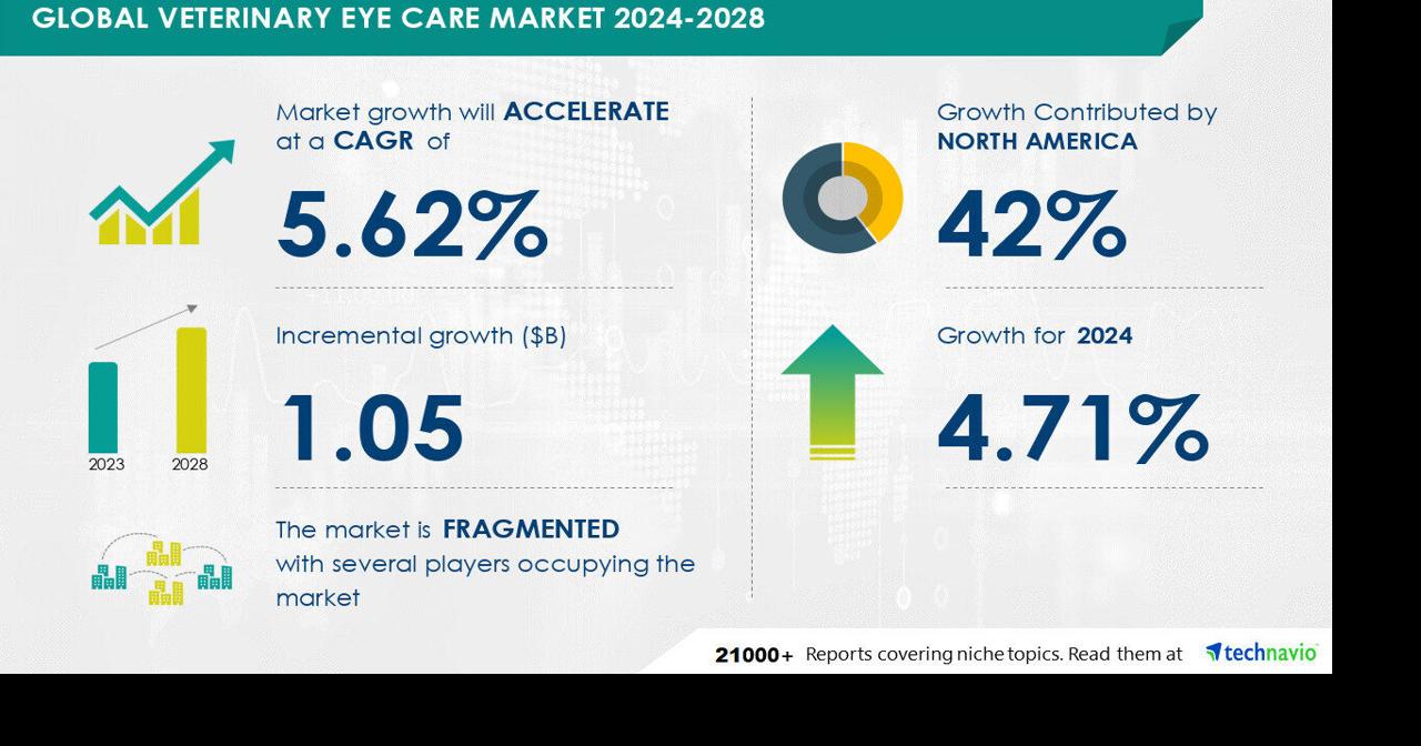 Veterinary Eye Care Market to Grow by USD 1.05 Billion(2024-2028), Boosted by Rising Pet Ownership & Market Transformation Driven by AI – Technavio | PR Newswire