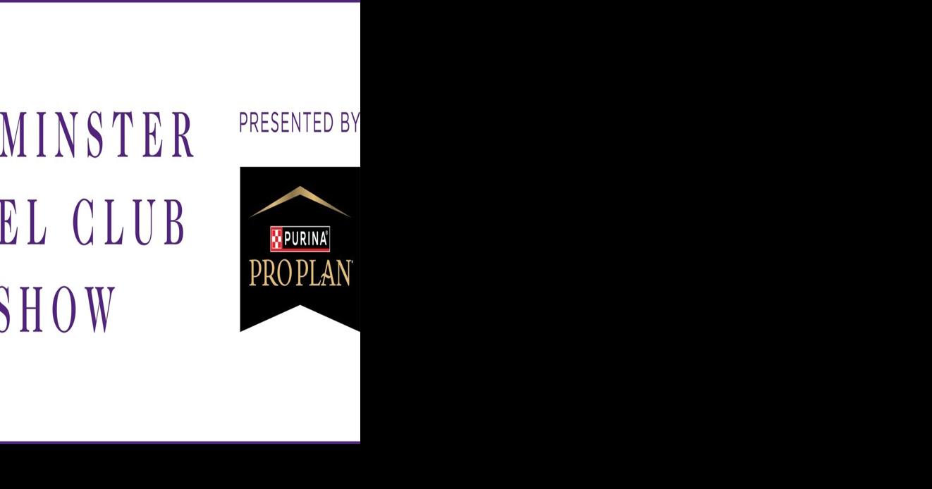 PENNY THE DOBERMAN PINSCHER NAMED BEST IN SHOW AT THE 150TH WESTMINSTER KENNEL CLUB DOG SHOW