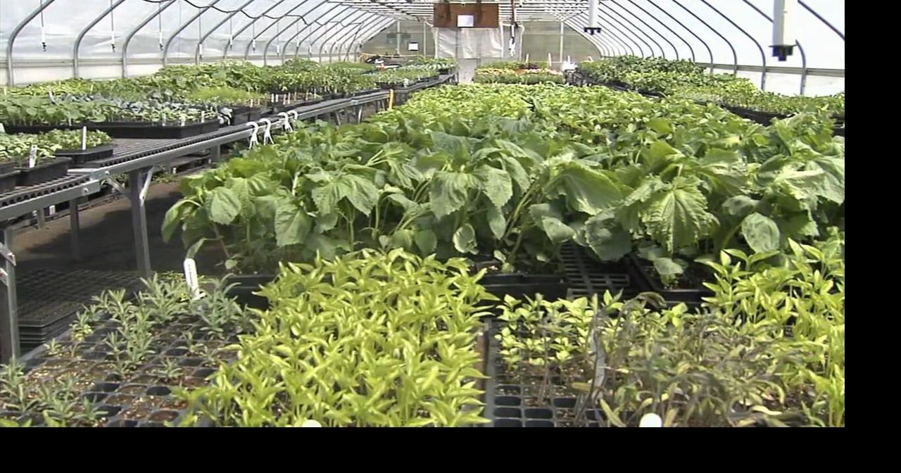 Success stories sprout from the Seed Farm's education and training initiatives