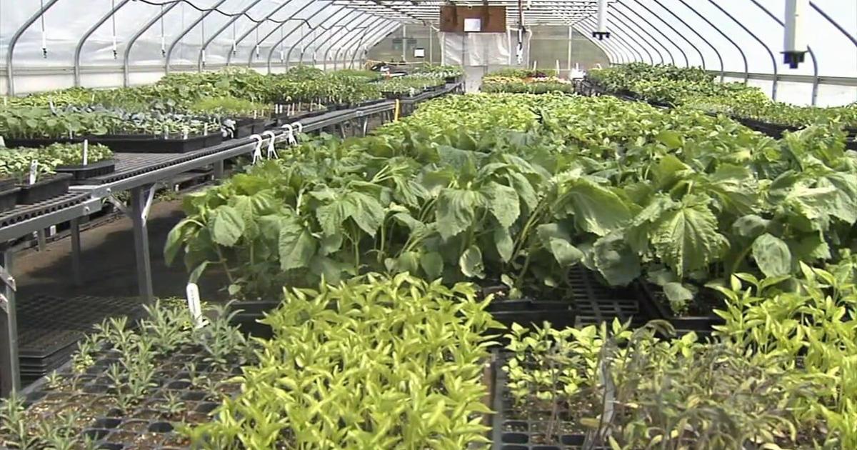 Success stories sprout from the Seed Farm's education and training initiatives