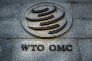 US appeals WTO ruling in dispute by China over clean energy subsidies
