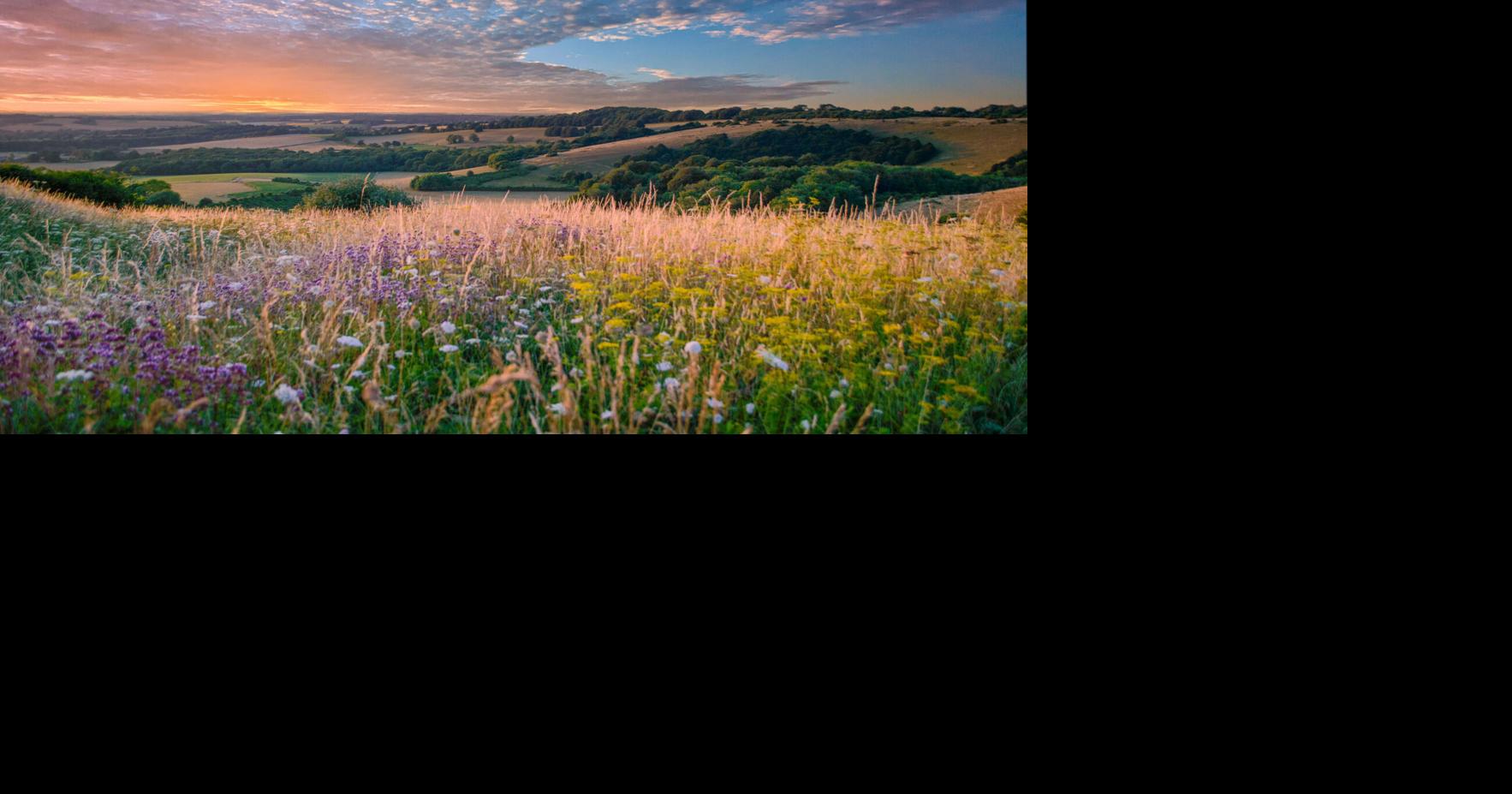 Jacobs to Support National Ecosystem Survey Delivery for UK Government's Natural Capital and Ecosystem Assessment